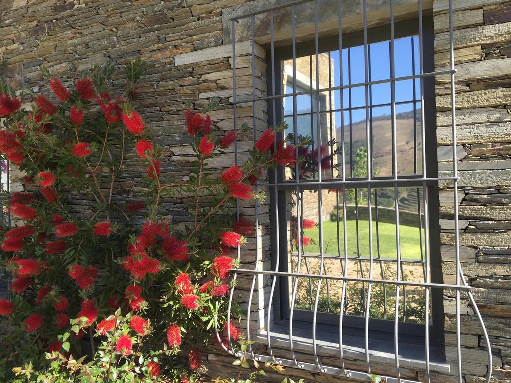 Quinta Da Marka Covas do Douro Экстерьер фото